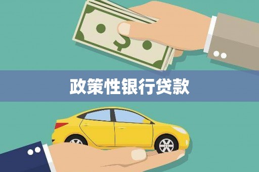沙坡头政策性银行贷款