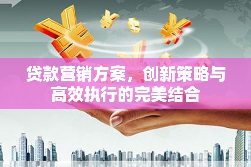 沙坡头贷款营销方案，创新策略与高效执行的完美结合