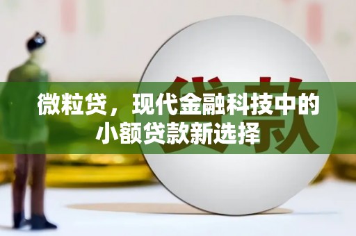沙坡头微粒贷，现代金融科技中的小额贷款新选择