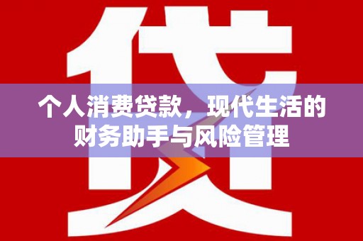 沙坡头个人消费贷款，现代生活的财务助手与风险管理
