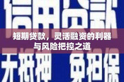 沙坡头短期贷款，灵活融资的利器与风险把控之道