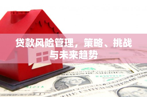 沙坡头贷款风险管理，策略、挑战与未来趋势