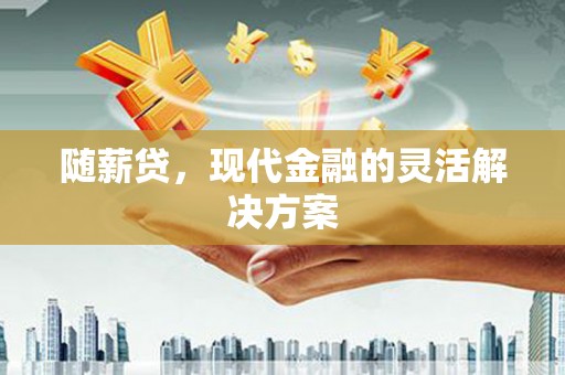 沙坡头随薪贷，现代金融的灵活解决方案