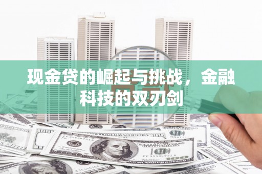 沙坡头现金贷的崛起与挑战，金融科技的双刃剑