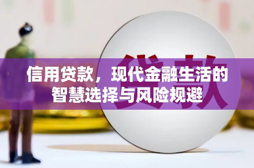 沙坡头信用贷款，现代金融生活的智慧选择与风险规避