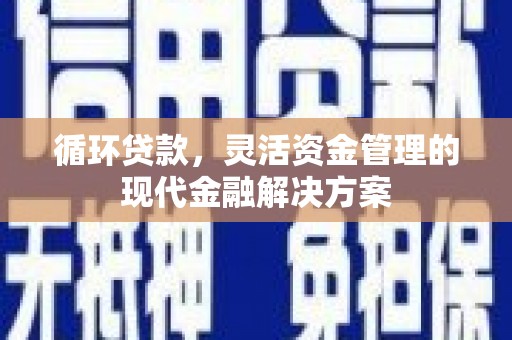 沙坡头循环贷款，灵活资金管理的现代金融解决方案