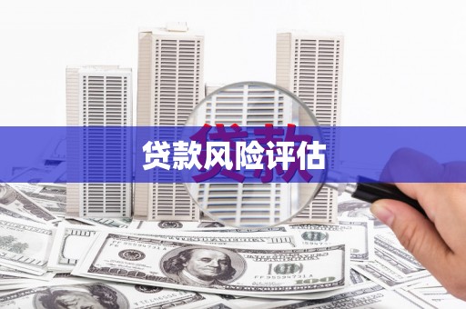 沙坡头贷款风险评估