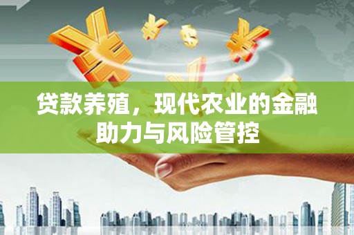 沙坡头贷款养殖，现代农业的金融助力与风险管控