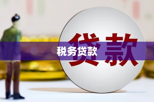 沙坡头税务贷款