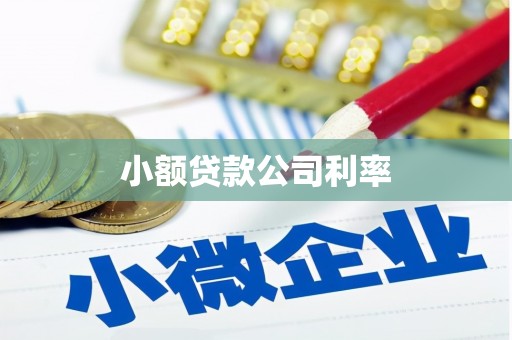 沙坡头小额贷款公司利率
