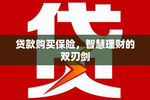 沙坡头贷款购买保险，智慧理财的双刃剑