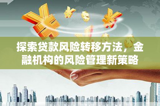 沙坡头探索贷款风险转移方法，金融机构的风险管理新策略