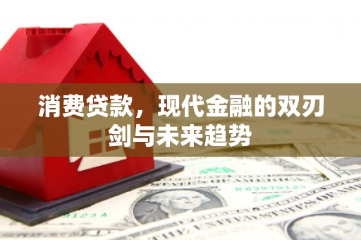 沙坡头消费贷款，现代金融的双刃剑与未来趋势