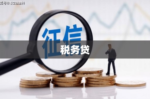 沙坡头税务贷