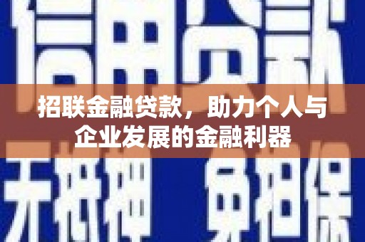 沙坡头招联金融贷款，助力个人与企业发展的金融利器