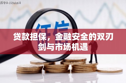 沙坡头贷款担保，金融安全的双刃剑与市场机遇