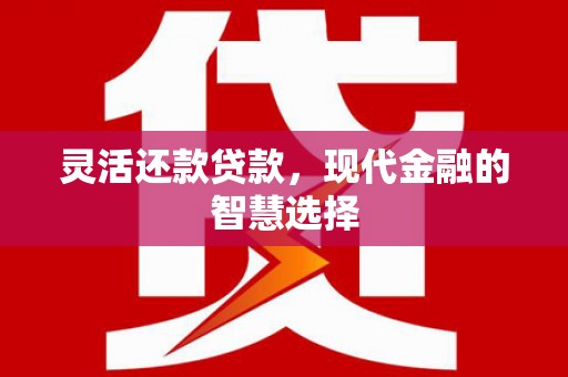沙坡头灵活还款贷款，现代金融的智慧选择