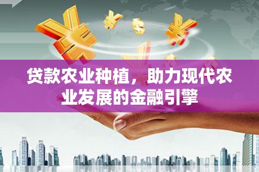沙坡头贷款农业种植，助力现代农业发展的金融引擎