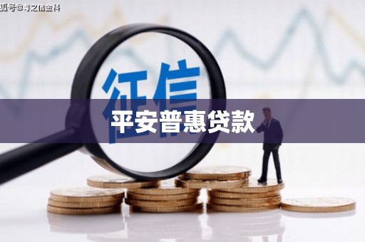 沙坡头平安普惠贷款