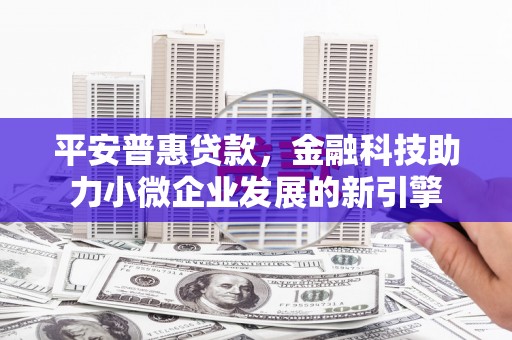 沙坡头平安普惠贷款，金融科技助力小微企业发展的新引擎