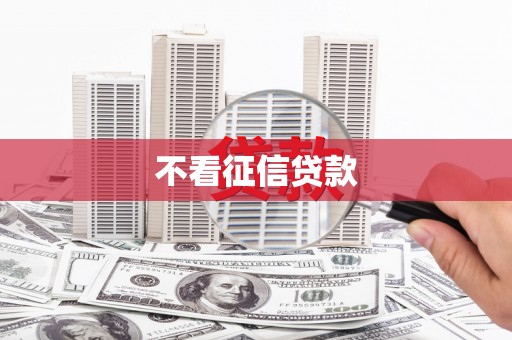 沙坡头不看征信贷款