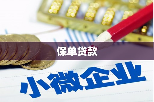 沙坡头保单贷款