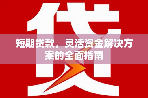 沙坡头短期贷款，灵活资金解决方案的全面指南
