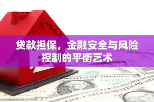 沙坡头贷款担保，金融安全与风险控制的平衡艺术