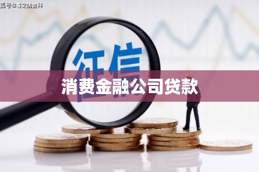 沙坡头消费金融公司贷款