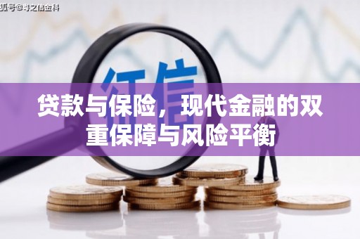 沙坡头贷款与保险，现代金融的双重保障与风险平衡