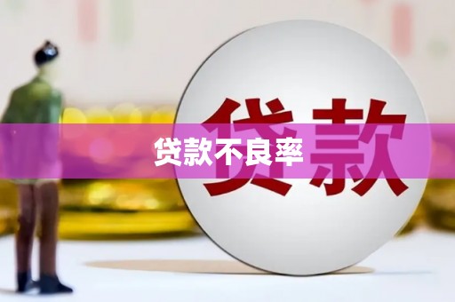 沙坡头贷款不良率