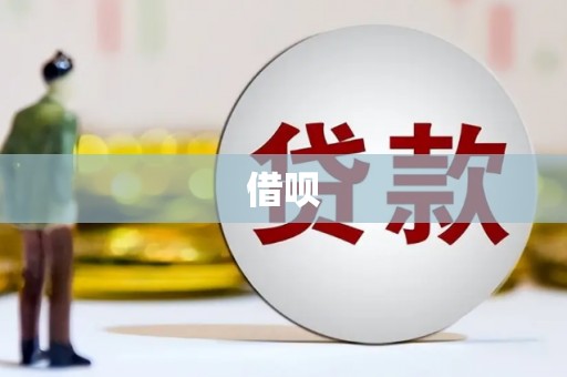 沙坡头借呗