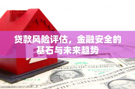 沙坡头贷款风险评估，金融安全的基石与未来趋势