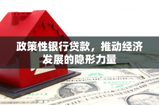 沙坡头政策性银行贷款，推动经济发展的隐形力量