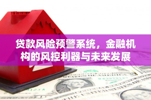 沙坡头贷款风险预警系统，金融机构的风控利器与未来发展