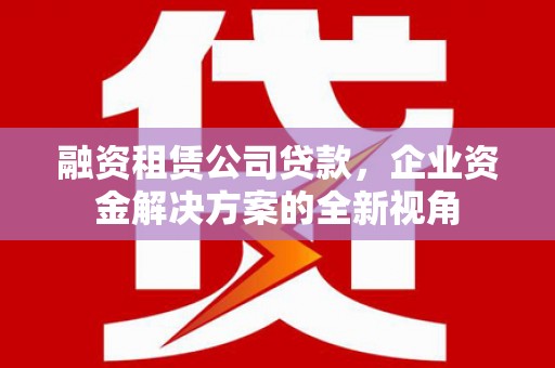 沙坡头融资租赁公司贷款，企业资金解决方案的全新视角