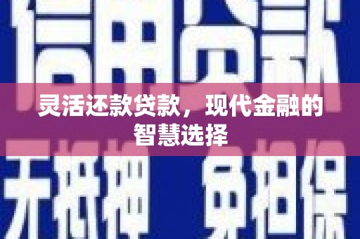 沙坡头灵活还款贷款，现代金融的智慧选择