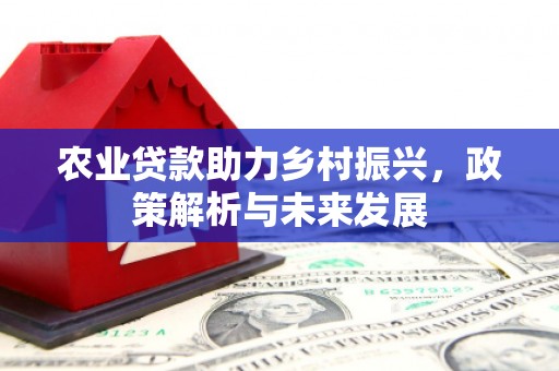 沙坡头农业贷款助力乡村振兴，政策解析与未来发展