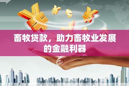 沙坡头畜牧贷款，助力畜牧业发展的金融利器