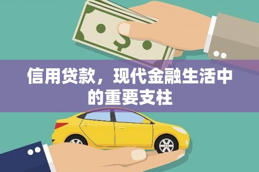 沙坡头信用贷款，现代金融生活中的重要支柱