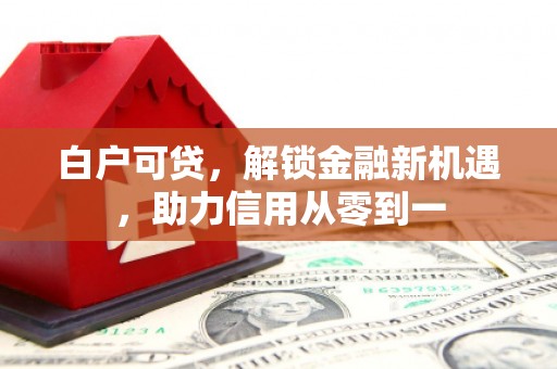 沙坡头白户可贷，解锁金融新机遇，助力信用从零到一