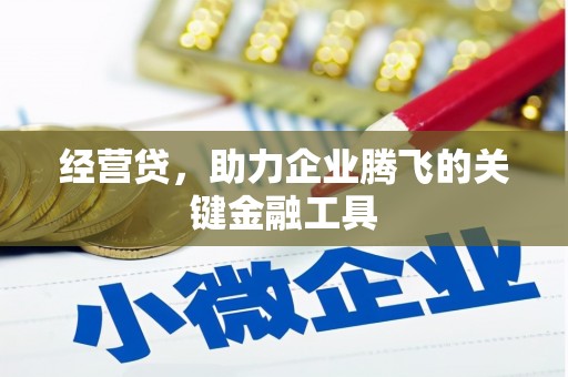 沙坡头经营贷，助力企业腾飞的关键金融工具