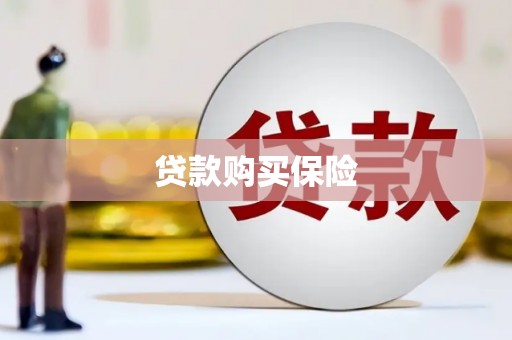 沙坡头贷款购买保险