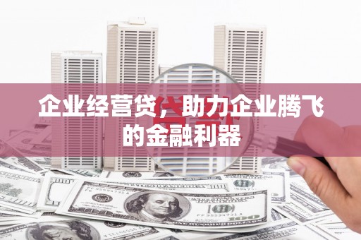 沙坡头企业经营贷，助力企业腾飞的金融利器