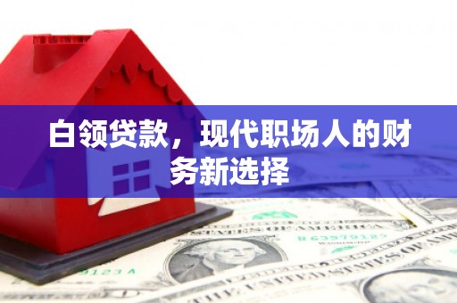 沙坡头白领贷款，现代职场人的财务新选择