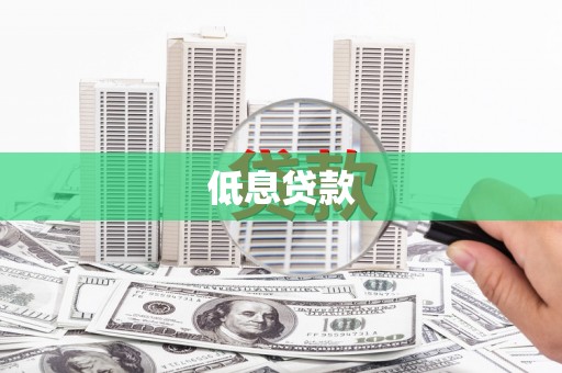 沙坡头低息贷款
