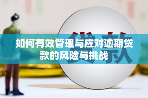 沙坡头如何有效管理与应对逾期贷款的风险与挑战