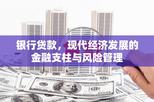 沙坡头银行贷款，现代经济发展的金融支柱与风险管理