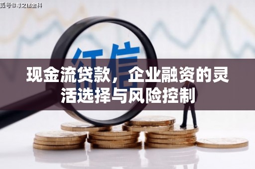 沙坡头现金流贷款，企业融资的灵活选择与风险控制