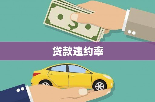 沙坡头贷款违约率